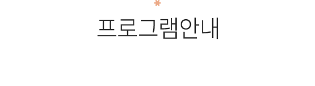 프로그램안내